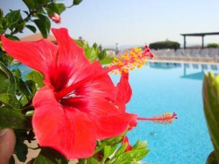 كروتوني Casarossa Hotel Residence & Beauty المظهر الخارجي الصورة